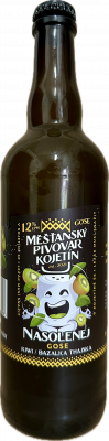 12% Nasolenej/GOSE Kiwi/světlý/sklo 750 ml/Kojetin