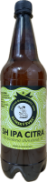 13%Citra IPA/PET 1L/Švec